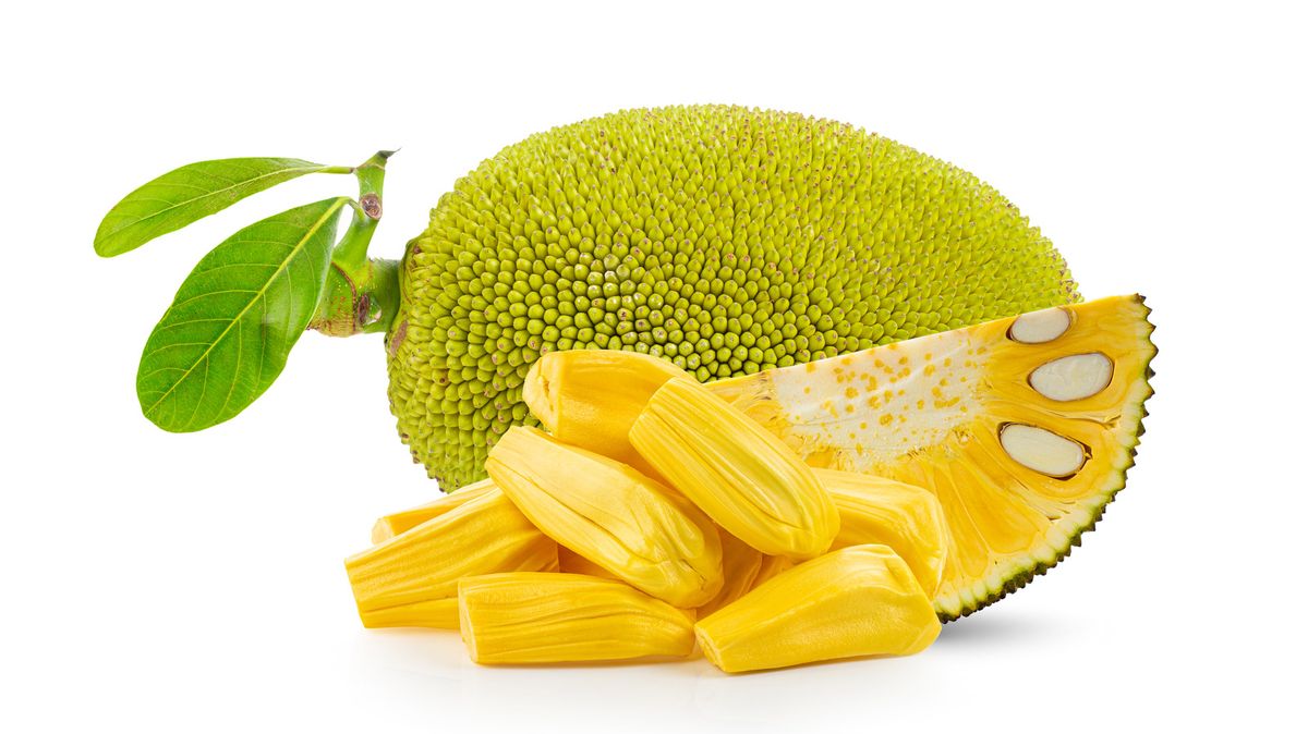 Jackfruit Plants — Browse 9 varieties